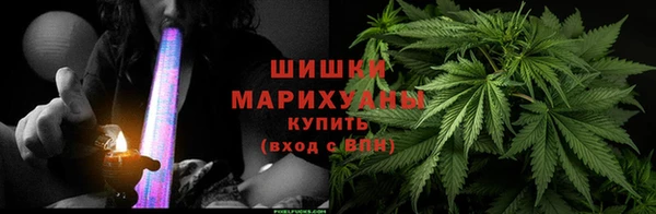 PSILOCYBIN Белокуриха