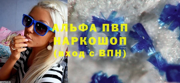 PSILOCYBIN Белокуриха