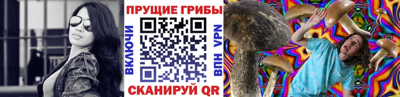 Псилоцибиновые грибы мицелий ссылка на мегу ссылка даркнет наркотические препараты Горнозаводск